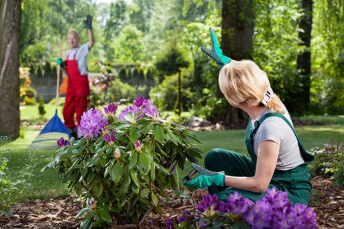Charlton lawn care and edging as part of regular garden maintenance