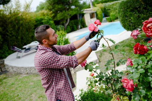 Seasonal lawn maintenance in Charlton for better grass growth