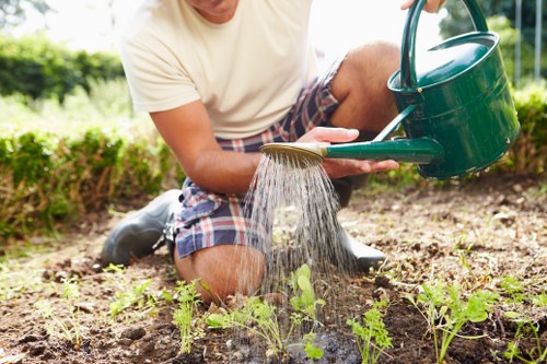 Outdoor landscape improvement by Charlton landscapers
