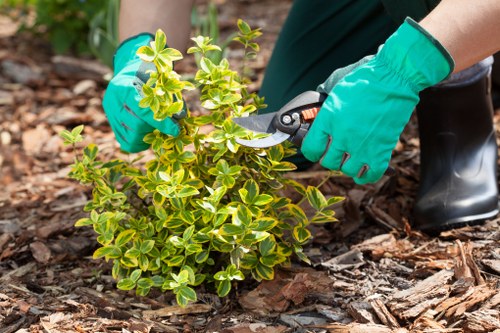 Healthy turf and garden maintenance in Charlton