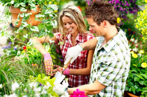 Professional lawn mowing in Charlton on a neatly maintained residential garden