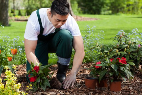 Professional garden maintenance in Charlton with hedge trimming