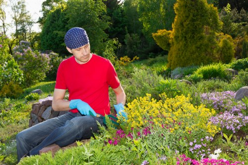 Professional garden clearance in Charlton handling branches and debris