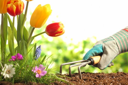Professional garden design features in a Charlton outdoor space