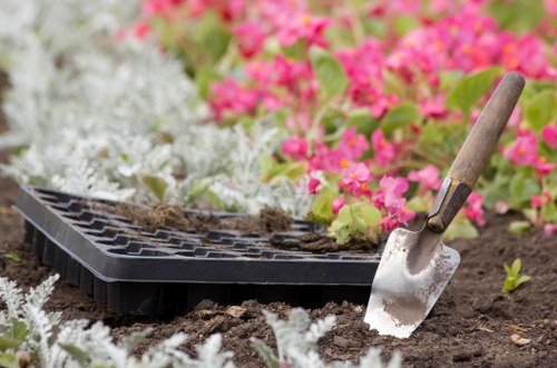 Seasonal planting design in Charlton with shrubs and flowers