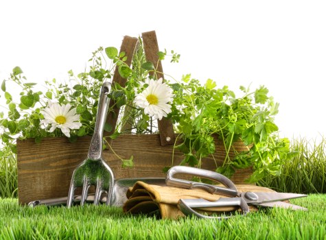 Planning a Charlton garden renovation with paving and layout design