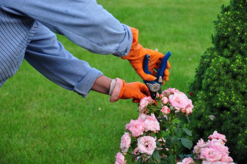 Cleanly edged Charlton lawn with even grass cut and fresh appearance