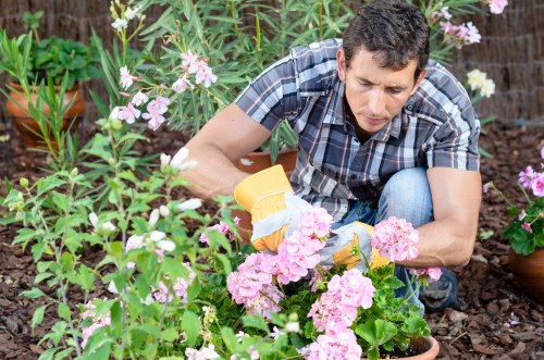 Charlton garden design planning with hard landscaping features